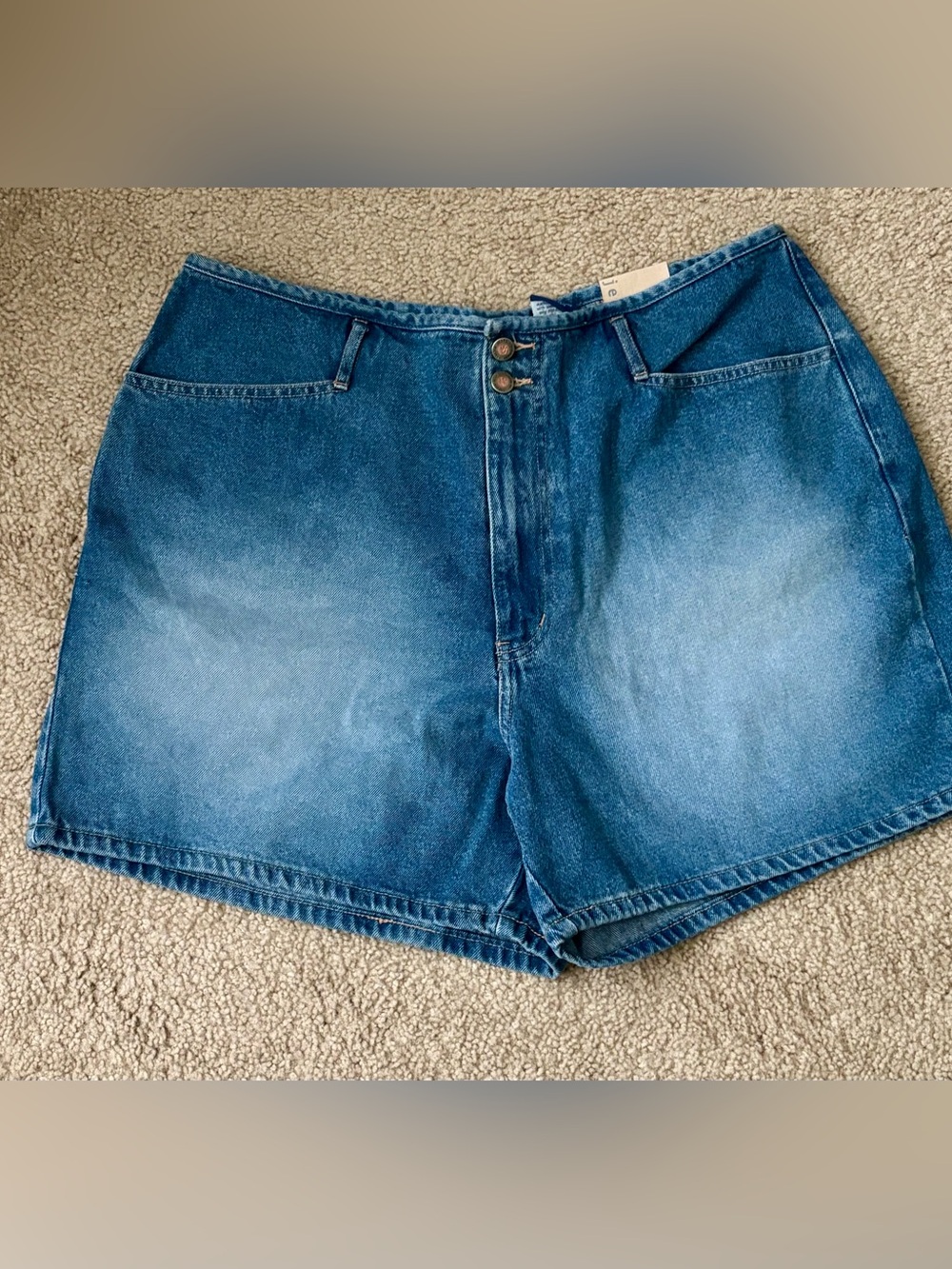 Lane Bryant Vintage Venezia Women’s Denim Shorts Size 18.